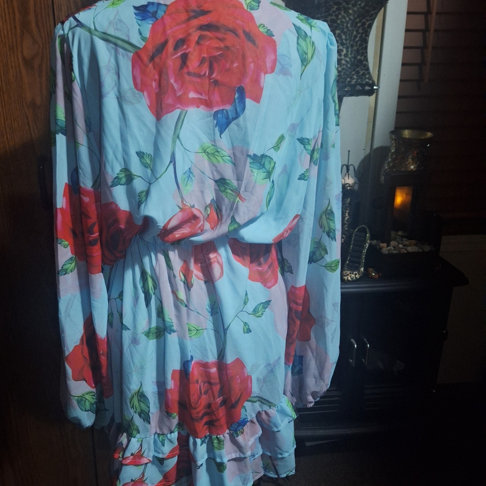 Floral Dress with Red Roses - Picture 5 of 7